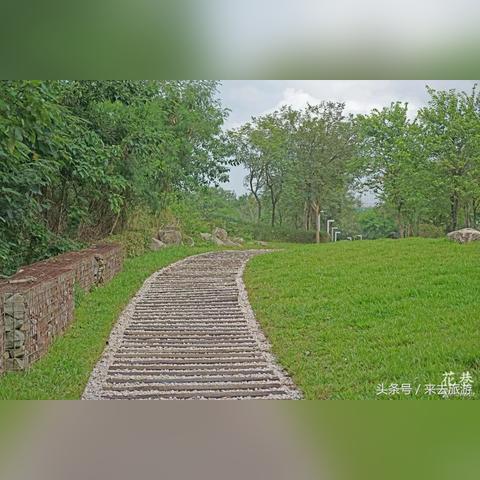 泉州市李五的长尾关键词有什么