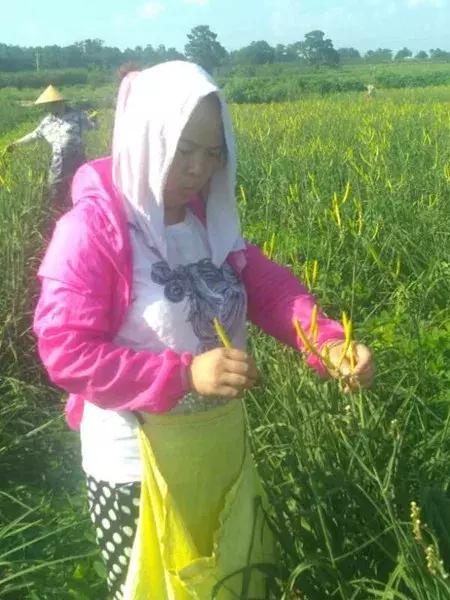 渭南最美女职业农民候选人事迹展播｜白小妮