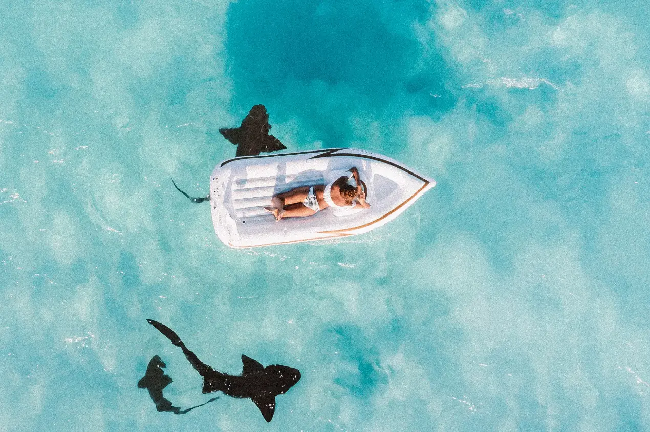 海景出海手机有信号吗 船员出海手机有信号吗