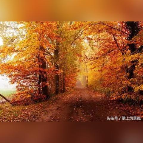 西安市三五三社区怎么走
