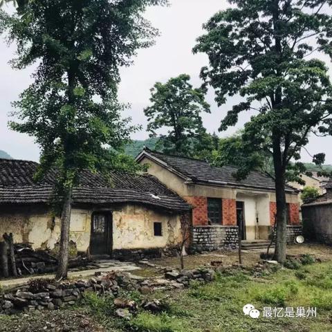 合肥市下放回城什么时间