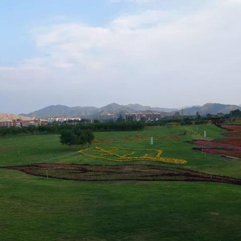 石家庄市25中在哪个区