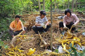下半年农村最有“钱”途的五种工作，谁做谁赚钱！