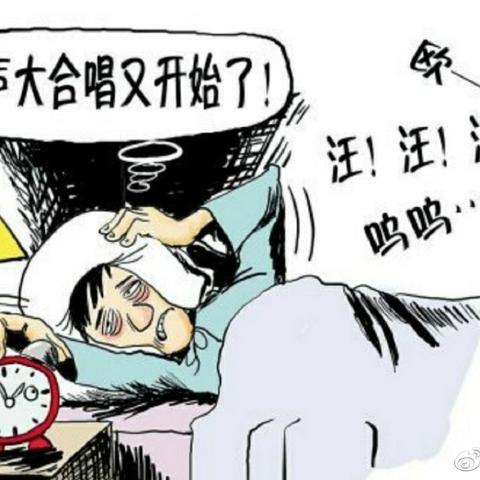 宁波市养狗需要什么