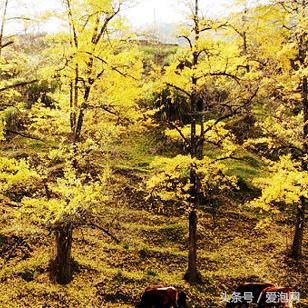 福建火锅串串怎么样