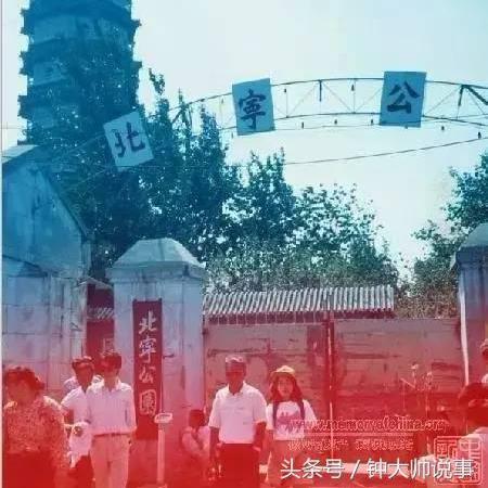 天津土著哪个区