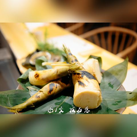 厦门市哪里有批发海带苗