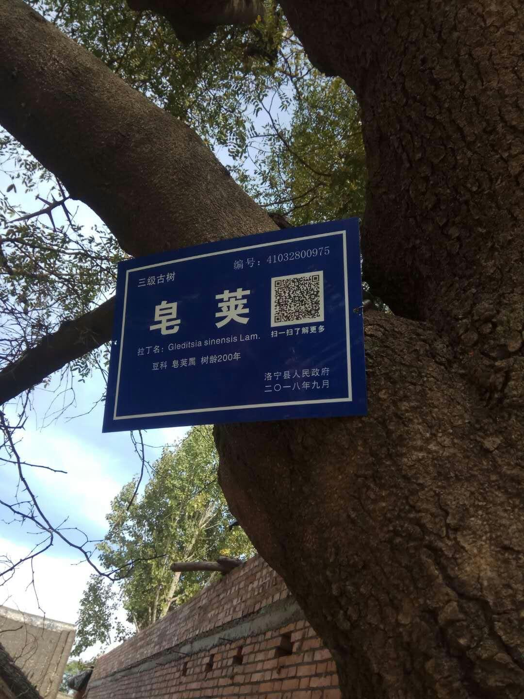 区林业站站长级别(蚌埠市林业局长什么级别)