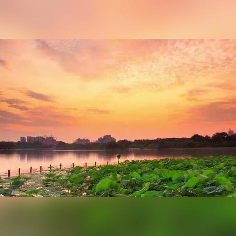 济南市的自然风光是什么