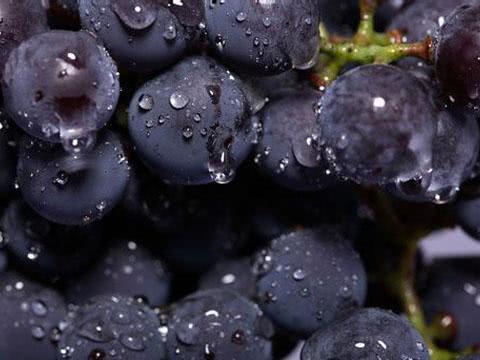 秋天吃葡萄有什么好处