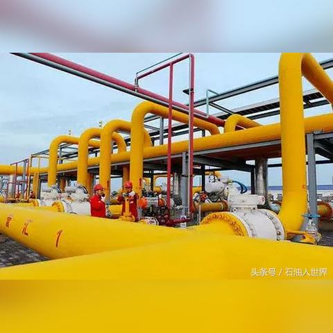 中海油福建天然气公司的相关长尾关键词有哪些