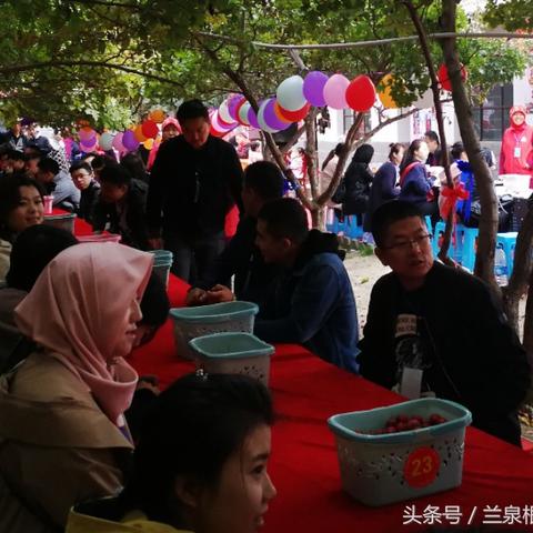 兰州半山养老院的相关长尾关键词有哪些
