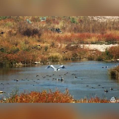 邯郸市体型训练儿童的长尾关键词有什么