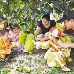 宁波市的什么区最大面积