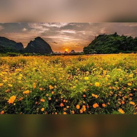 东莞市附近花海公园在哪里