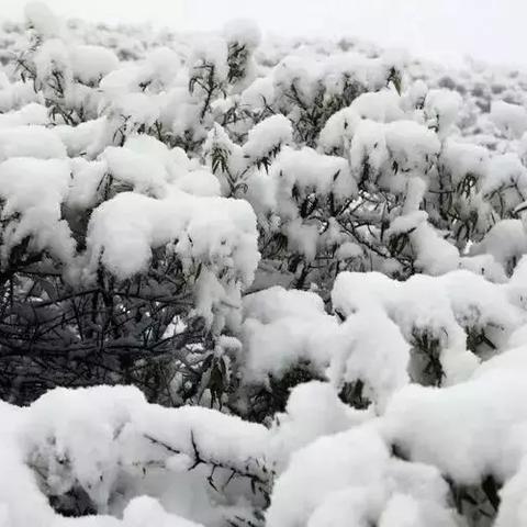 9月份兰州天气的相关长尾关键词有哪些