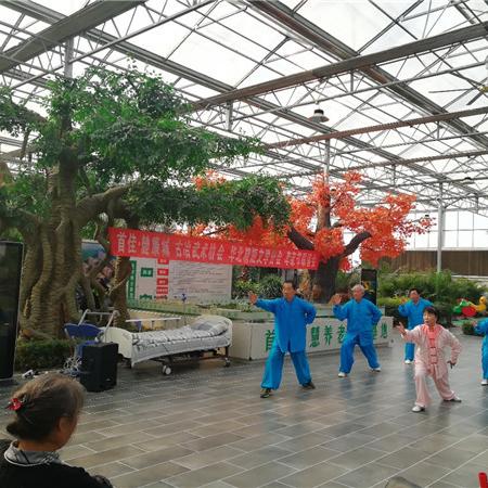 石家庄市哪里有学武术的