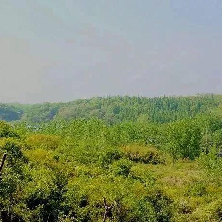 桂林市哪里有山爬
