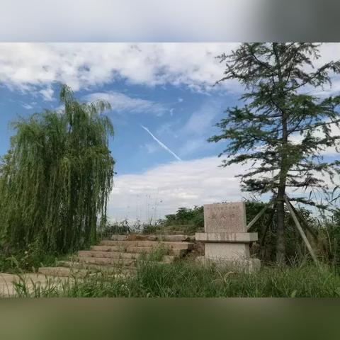 苏州市临湖镇哪个村最好