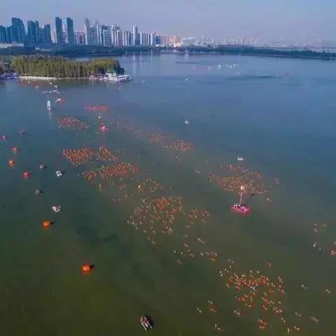 周六武汉市有什么考试