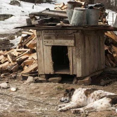 为什么东北三省那么冷