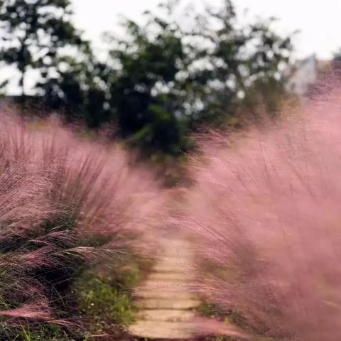 广州市周边什么好玩