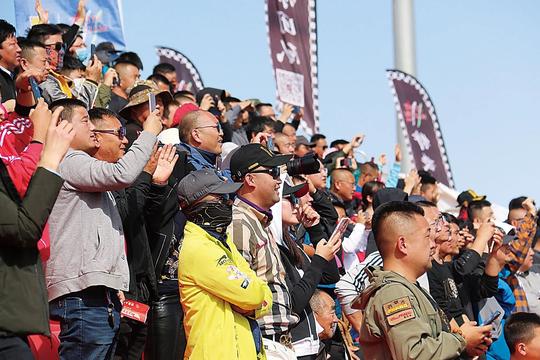 总播放量接近4000万！阿拉善成为国庆期间的抖音“黑马城市”