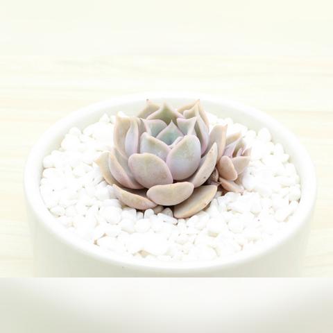 武汉市什么时候可以变冷