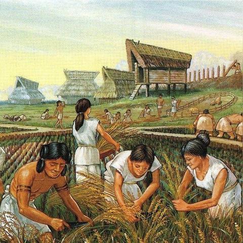 命运VS风水：哪位高人更懂你的未来？