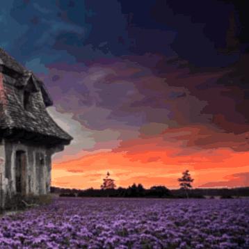 苏州常熟市安定村的长尾关键词有哪些