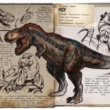 足球比赛队长的简称的长尾关键词有什么