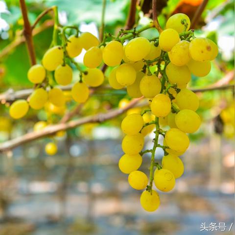 长沙最晚飞机相关长尾关键词有哪些