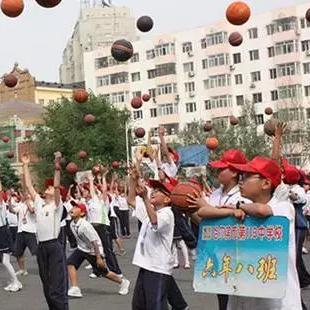 哈尔滨市最强小学在哪个区