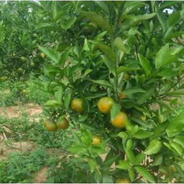 南宁市怎么查询保险基数