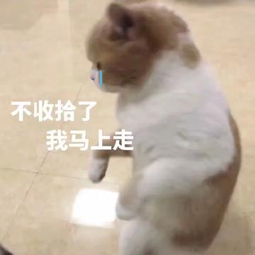 那我走我很丑吗表情包
