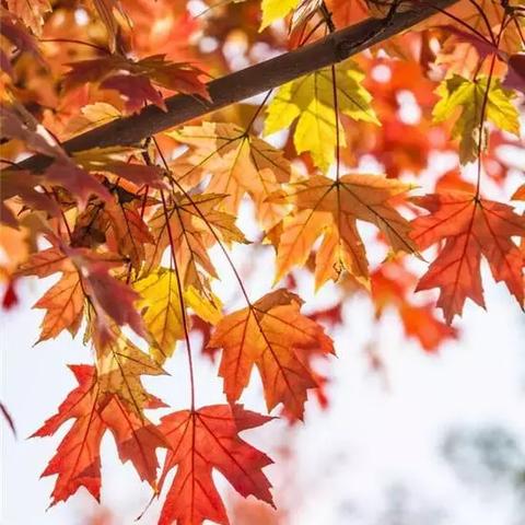 河南漯河地图高清版的相关长尾关键词有哪些