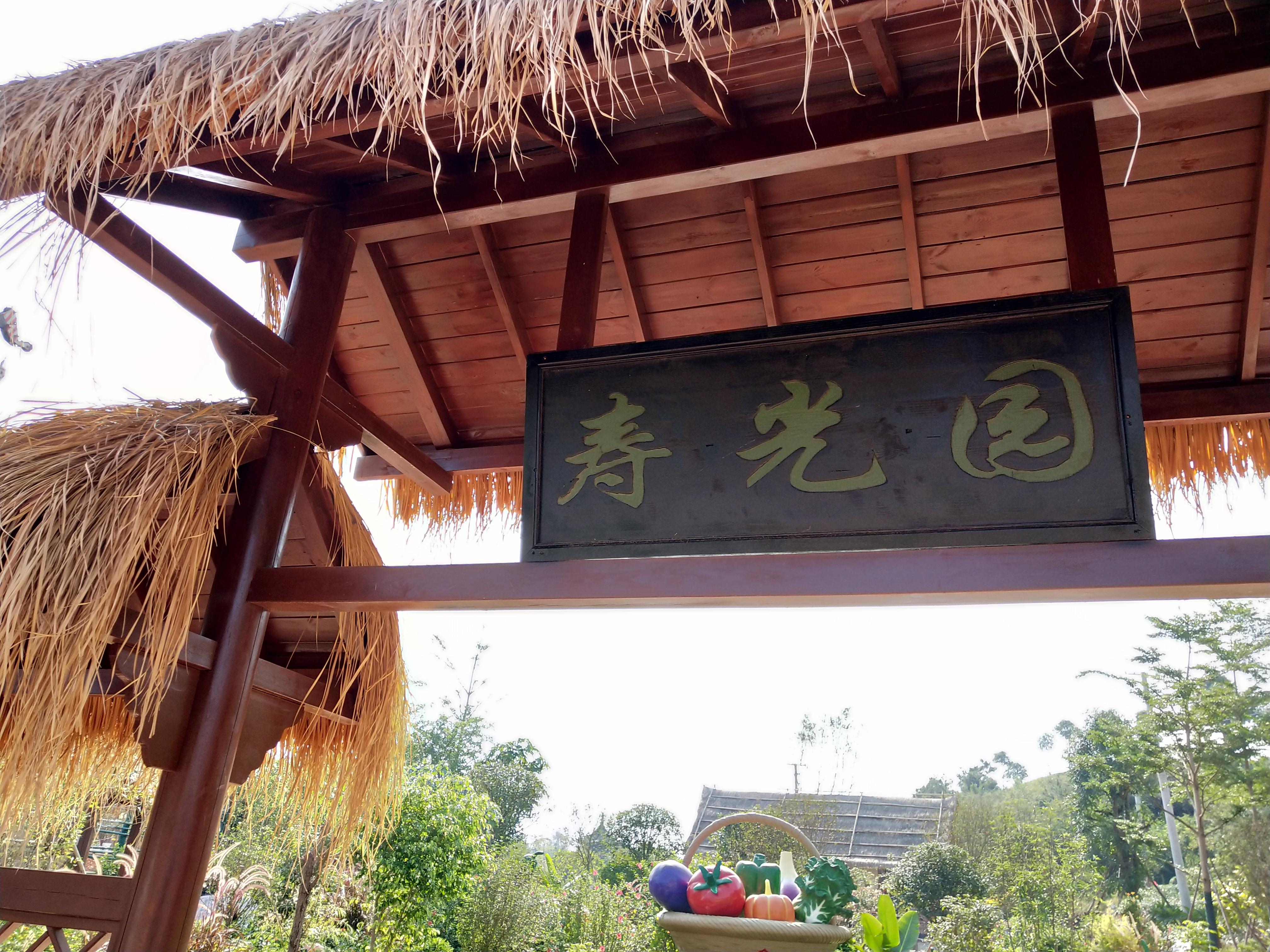 山东寿光7死4伤中毒事故调查报告