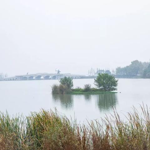 武汉塔叫什么名字？