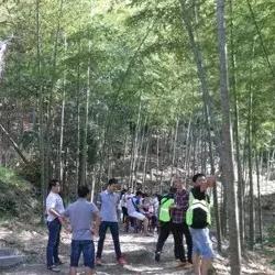 福建金刚批发的相关长尾关键词有哪些
