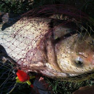 网站漂浮代码的长尾关键词有哪些