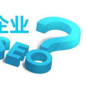 怎么做seo优化软件