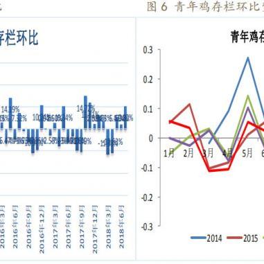【上海今日鸡蛋价格】2025年4月3日上海鸡蛋价格是多少