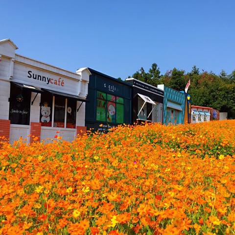 温州市金色家园疫情的长尾关键词有什么