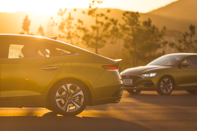 年轻人中的四大族群是什么