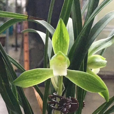 你的八字透露了婚姻好坏，看懂这个就够了