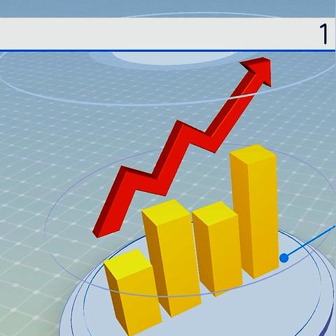 【深圳今日菜价】2025年4月26日深圳菜价是多少