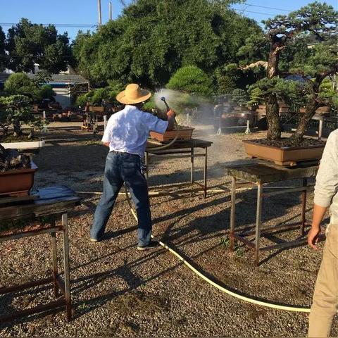 松青宁波局的相关长尾关键词有哪些