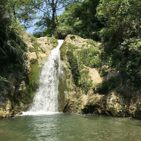 武汉市清江山水属于什么街道