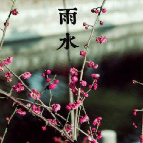 广州中蜂二十四节气相关长尾关键词有哪些
