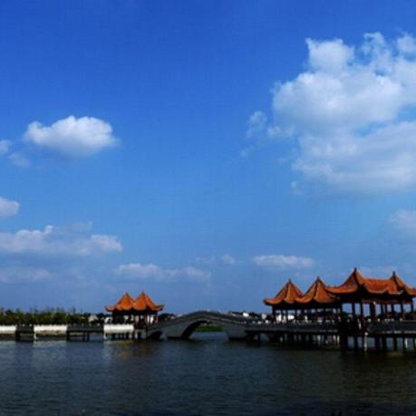 周口市亿星专卖店在哪里